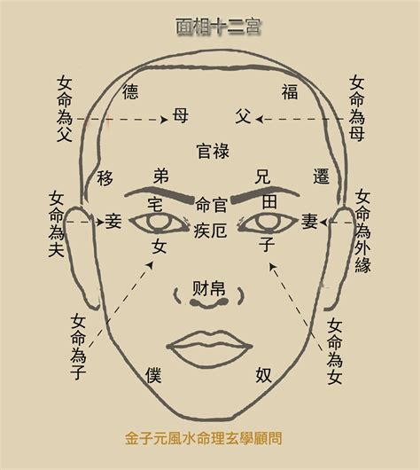 面相命宮